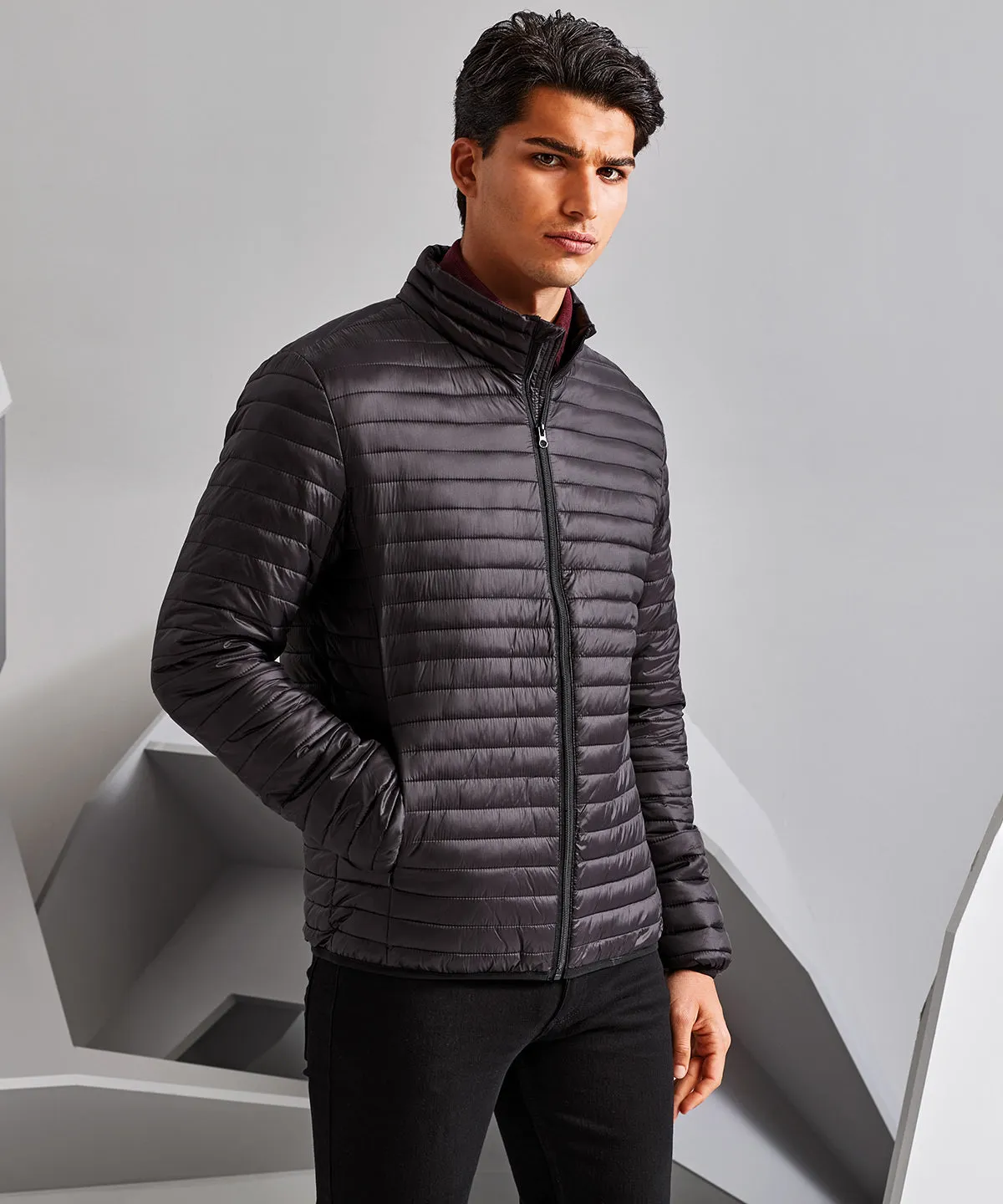 Black - Tribe fineline padded jacket